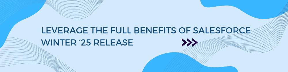 Leverage the full benefits of Salesforce Winter '25 release